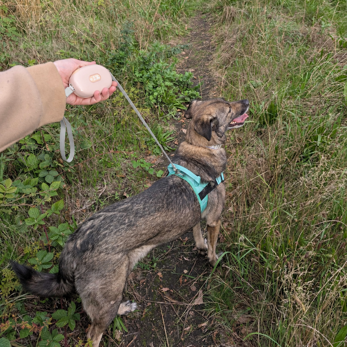 Correa Paw Pet - Pocket Pod - Rosa - 1,5 m