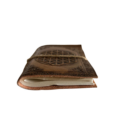 Petits carnets en cuir assortis (4 x 3 pouces) - Vitrine