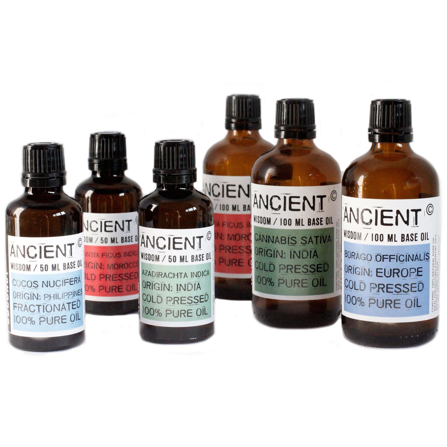 Aceite Base Albaricoque 50ml