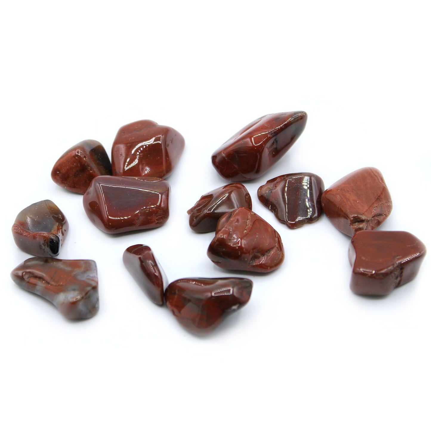 24 x L Tumble Stones - Madera Petrificada