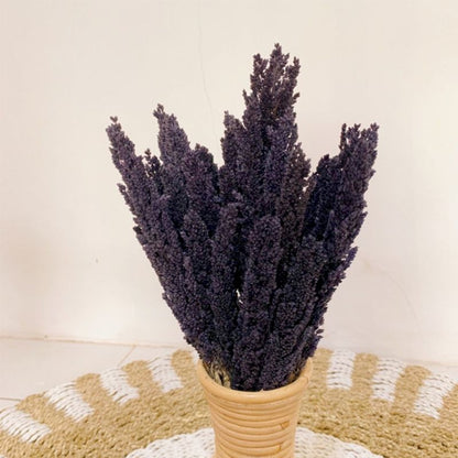 6 x Manojo de Hierba Cantal - Negro