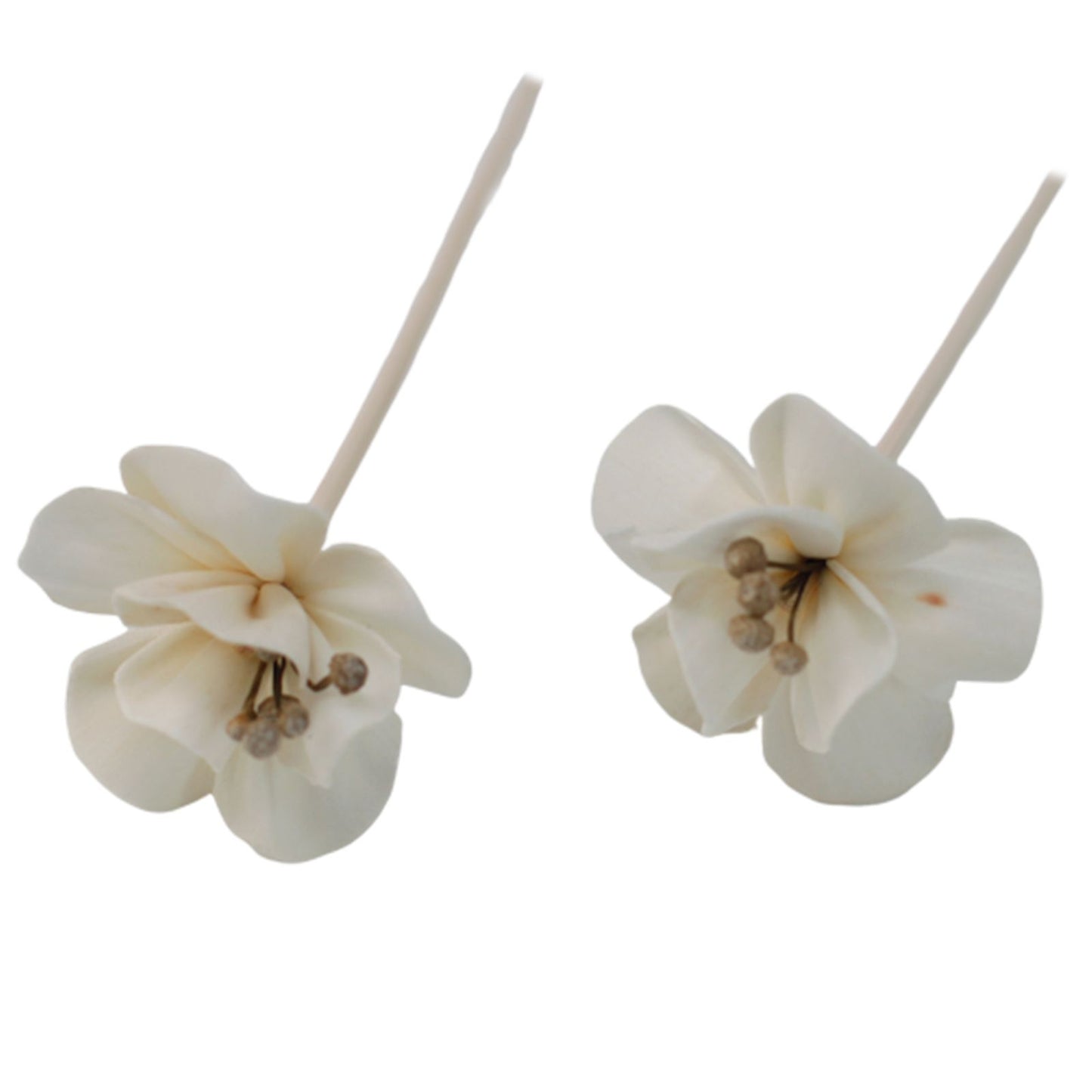 Natürlicher Blumendiffusor – Lilie im Schilf