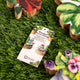 Plantas decorativas de madera - Pensamiento mediano