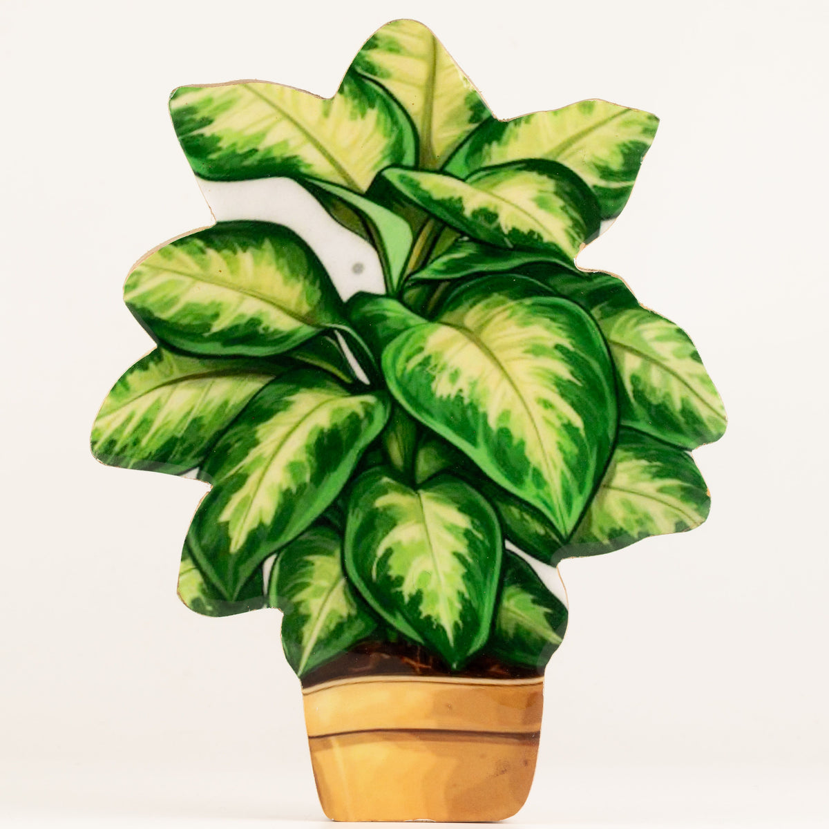 Plantas decorativas de madera - Pensamiento grande