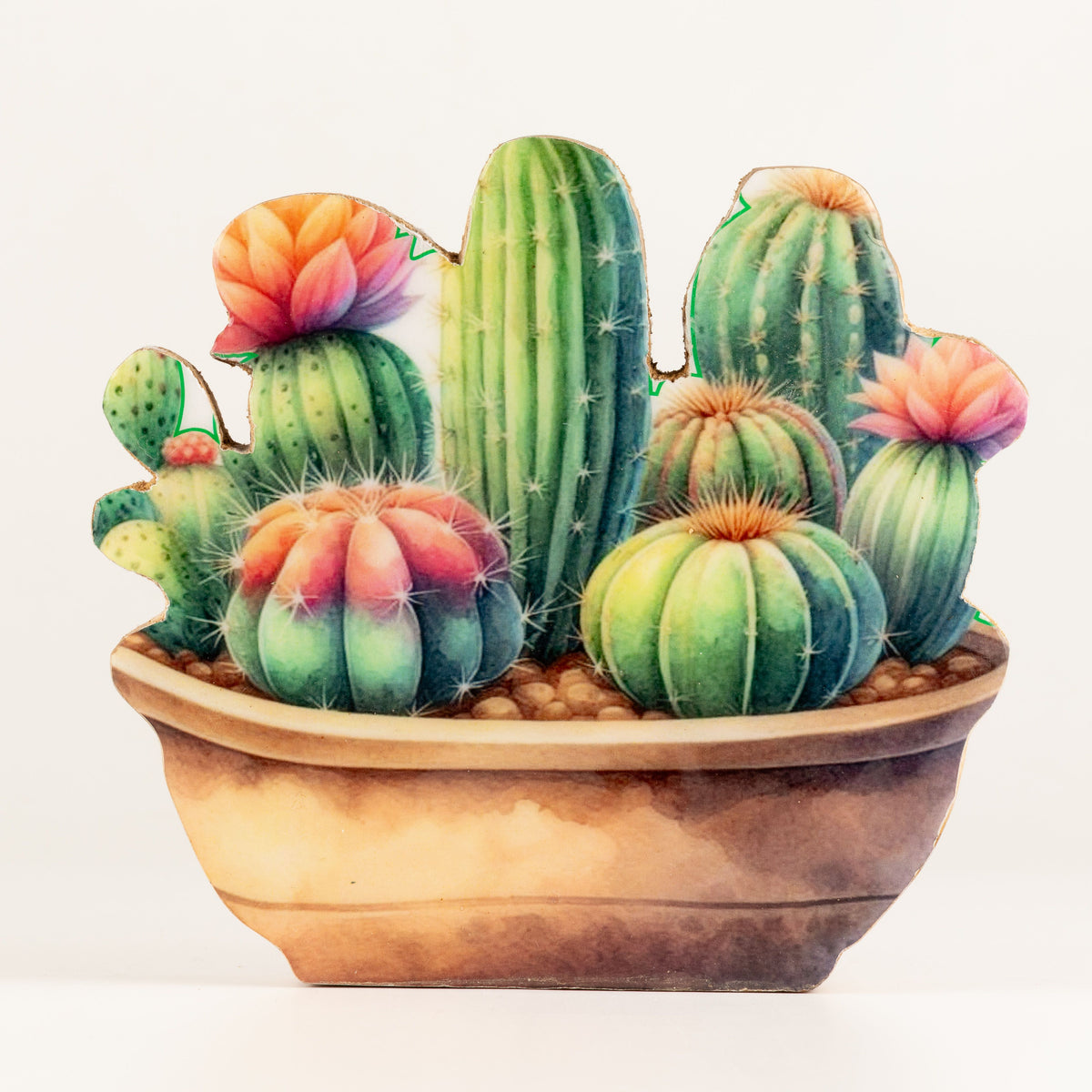 Plantas decorativas de madera - Jardín de cactus mediano