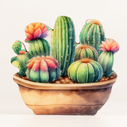 Plantas decorativas de madera - Jardín de cactus mediano