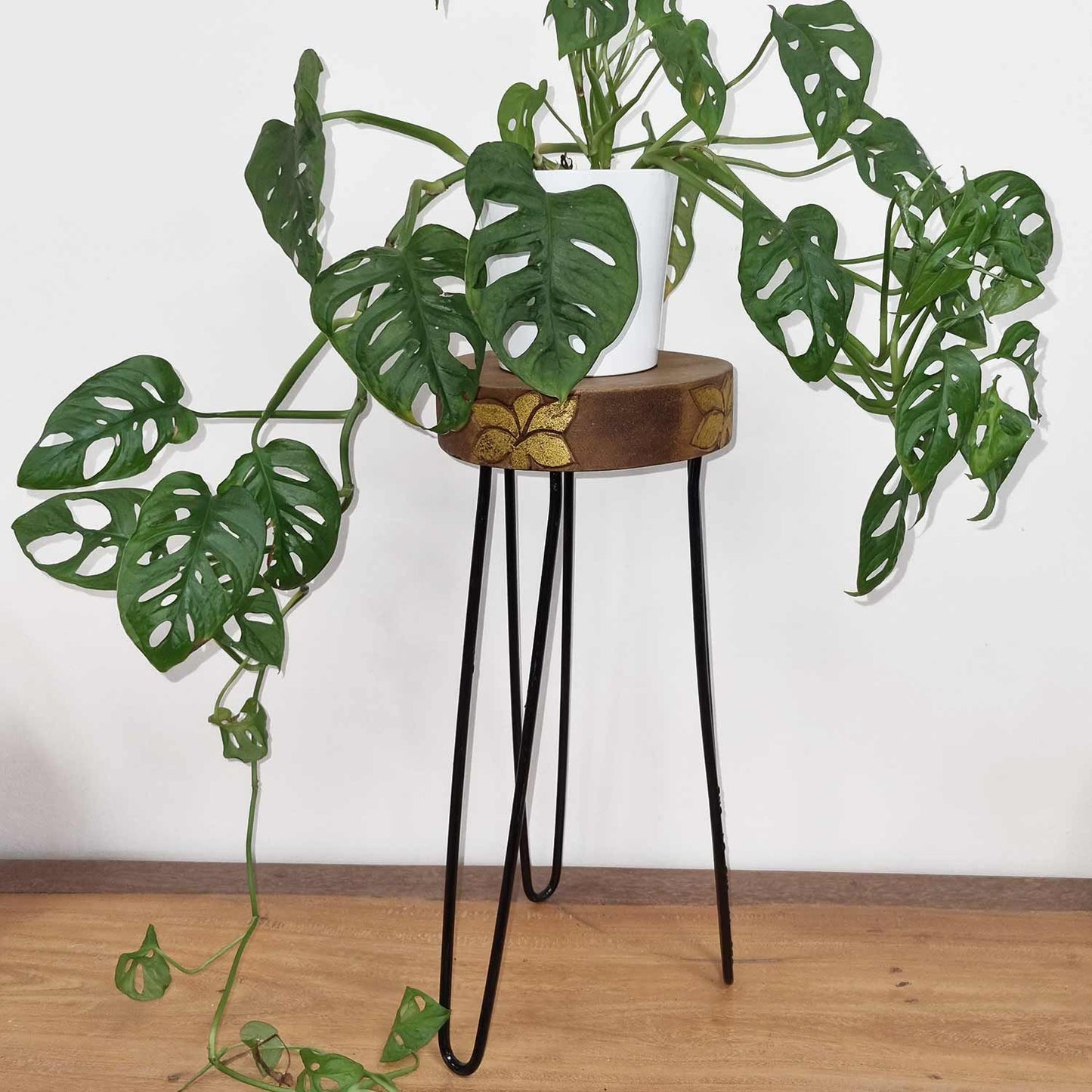 Soporte para plantas de madera de Albasia - Detalle natural y dorado