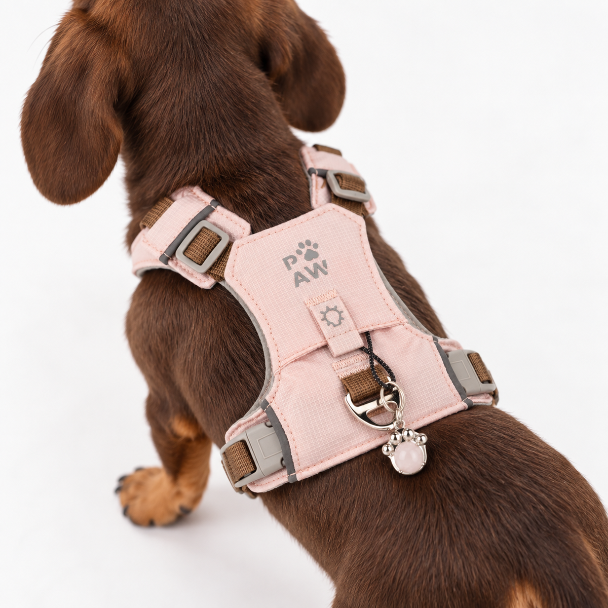 PAW - XS (2-4 kg) Arnés de paso para perros Guardian con malla reflectante - Rosa suave - Colgante de cuarzo rosa