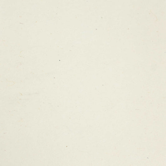 Paquete de 30 hojas de papel Lokta artesanal A4 - 20 gramos - liso