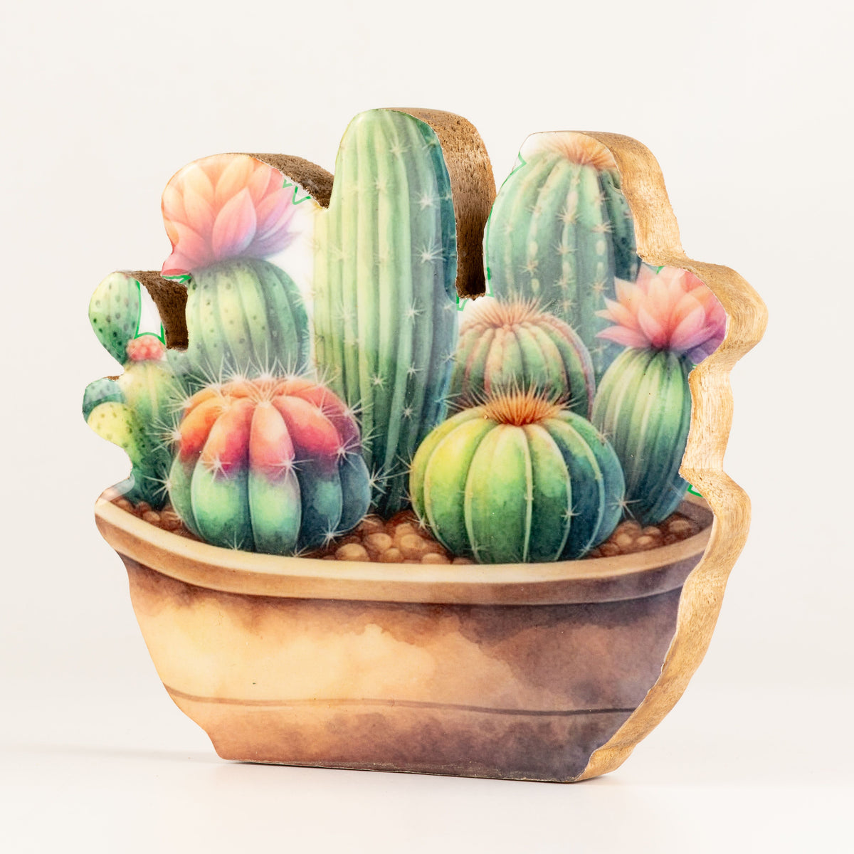 Plantas decorativas de madera - Jardín de cactus mediano
