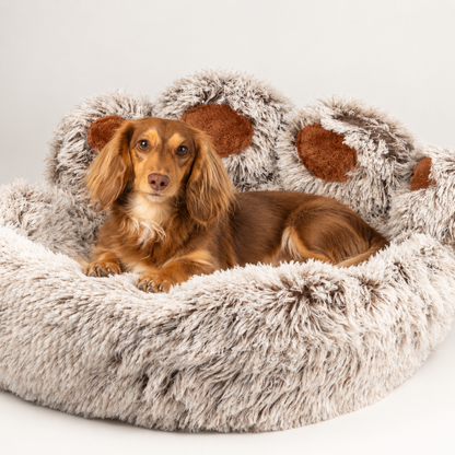 PAW Bed – Pata Grande – 70cm