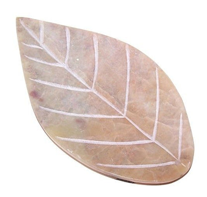Porte-encens Jaboncillo Grande feuille 15 cm