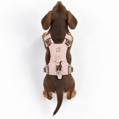 PAW - XS (2-4 kg) Arnés de paso para perros Guardian con malla reflectante - Rosa suave - Colgante de cuarzo rosa