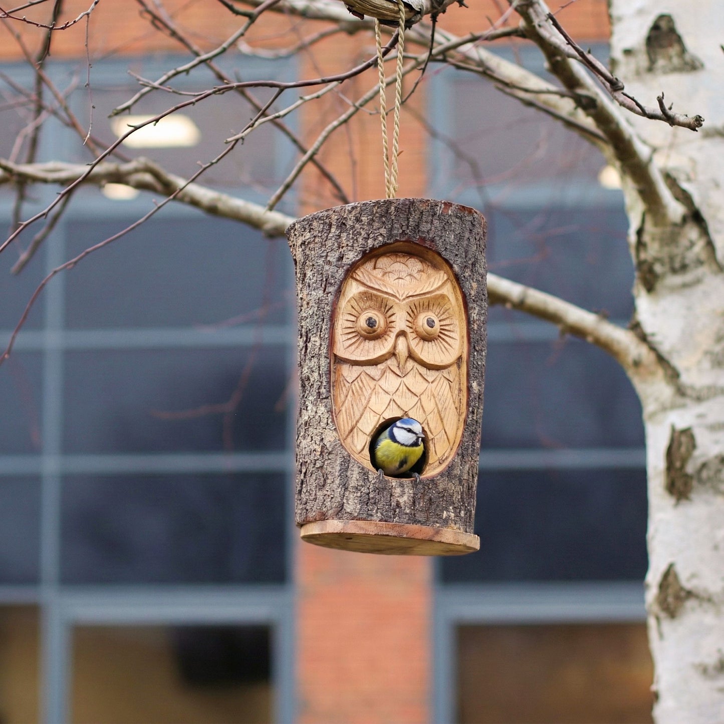 Gesicht aus Baumstamm – Vogelhaus – Weise Eule