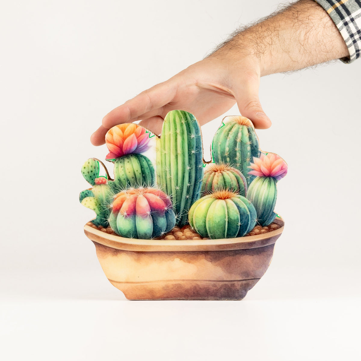 Plantas decorativas de madera - Jardín de cactus mediano