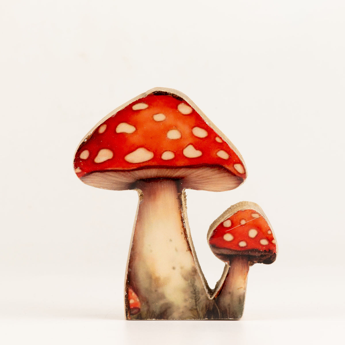 Plantas decorativas de madera - Mini seta Redcap