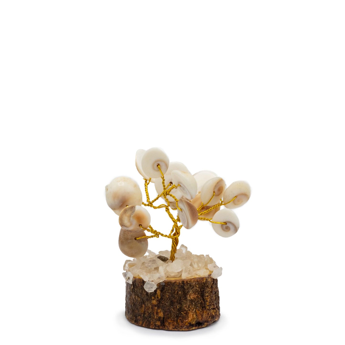 12 x Pequeño Gomati Chakra Árboles de Piedra Círculo con Rudraksha - (15 piedras)