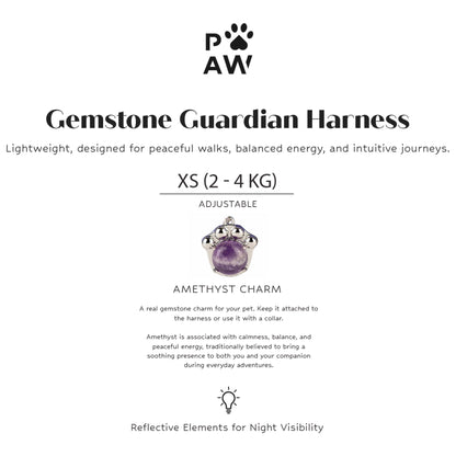PAW - XS (2-4 kg) Arnés de paso para perros Guardian con malla reflectante - Lavanda - Colgante de amatista