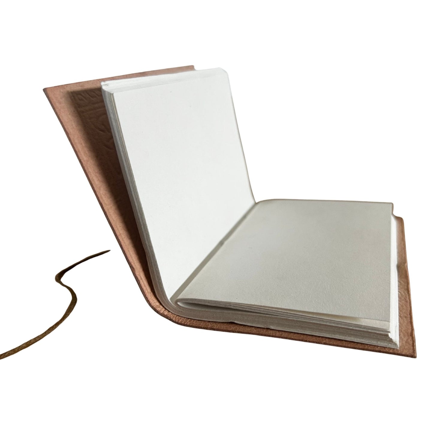 Carnets en cuir de taille moyenne assortis (5 x 3,5 pouces) - Vitrine