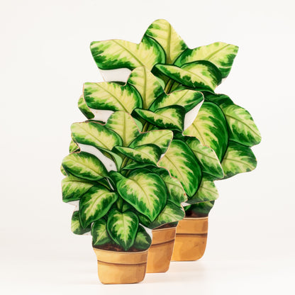 Plantas decorativas de madera - Pensamiento grande