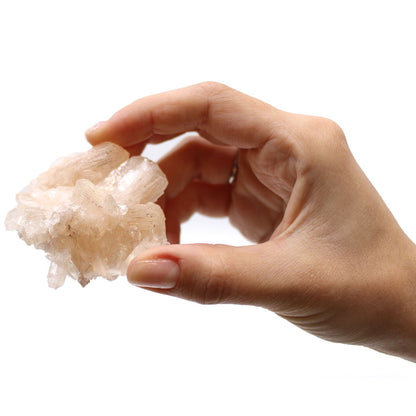 Combinación de Stilbite con Apophyllite 20-30mm