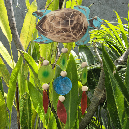 Talla de Tortuga en Aqua y Gota