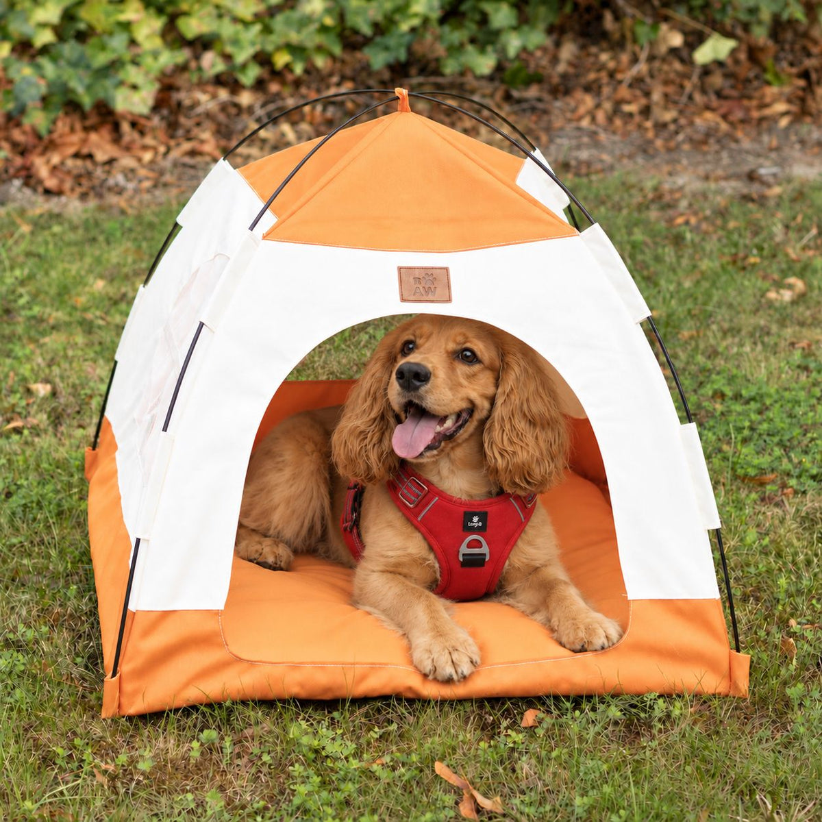 Cama PAW – Tienda beige y naranja – 58 × 58 × 48 cm