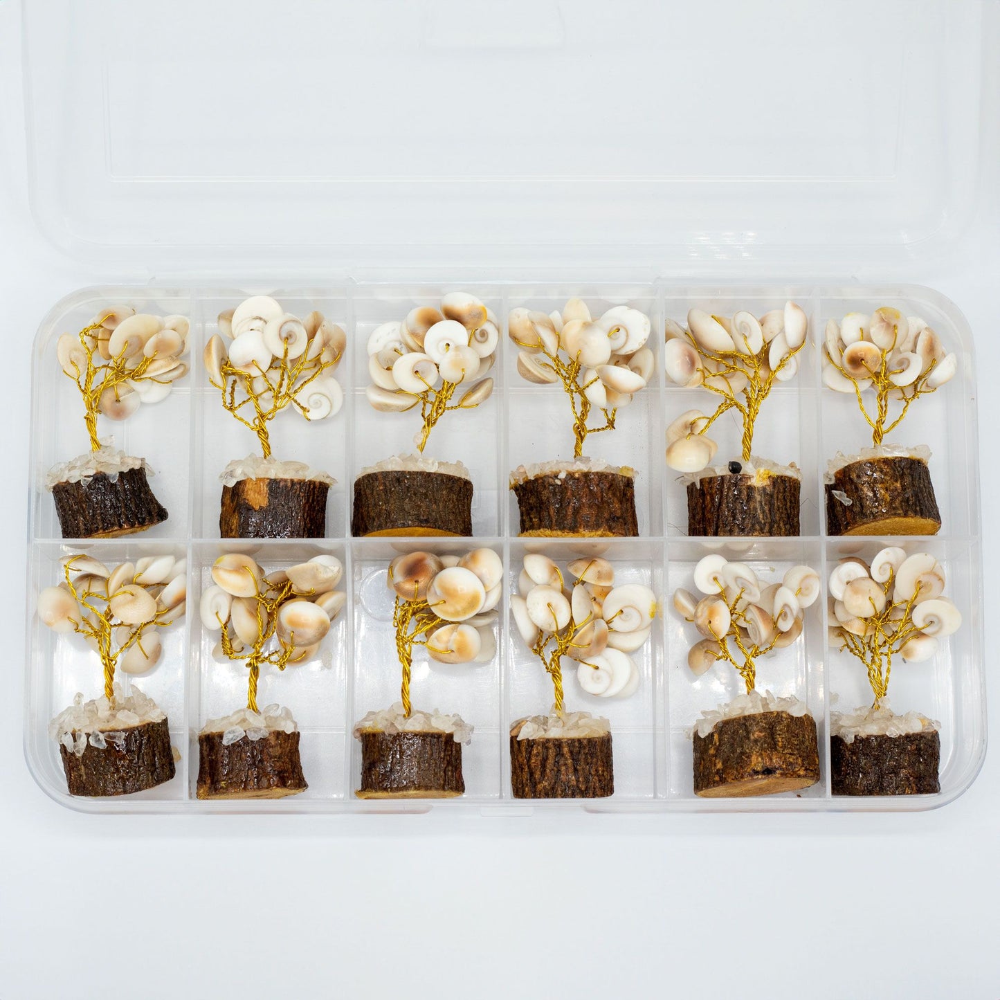 12 x Pequeño Gomati Chakra Árboles de Piedra Círculo con Rudraksha - (15 piedras)