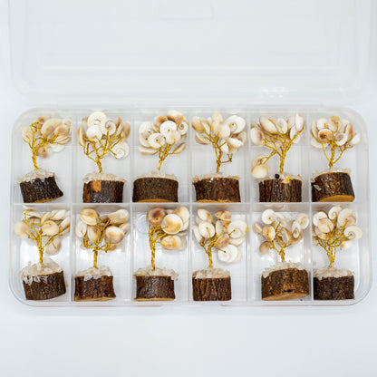 12 x Pequeño Gomati Chakra Árboles de Piedra Círculo con Rudraksha - (15 piedras)
