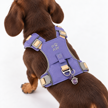 PAW - XS (2-4 kg) Arnés de paso para perros Guardian con malla reflectante - Lavanda - Colgante de amatista