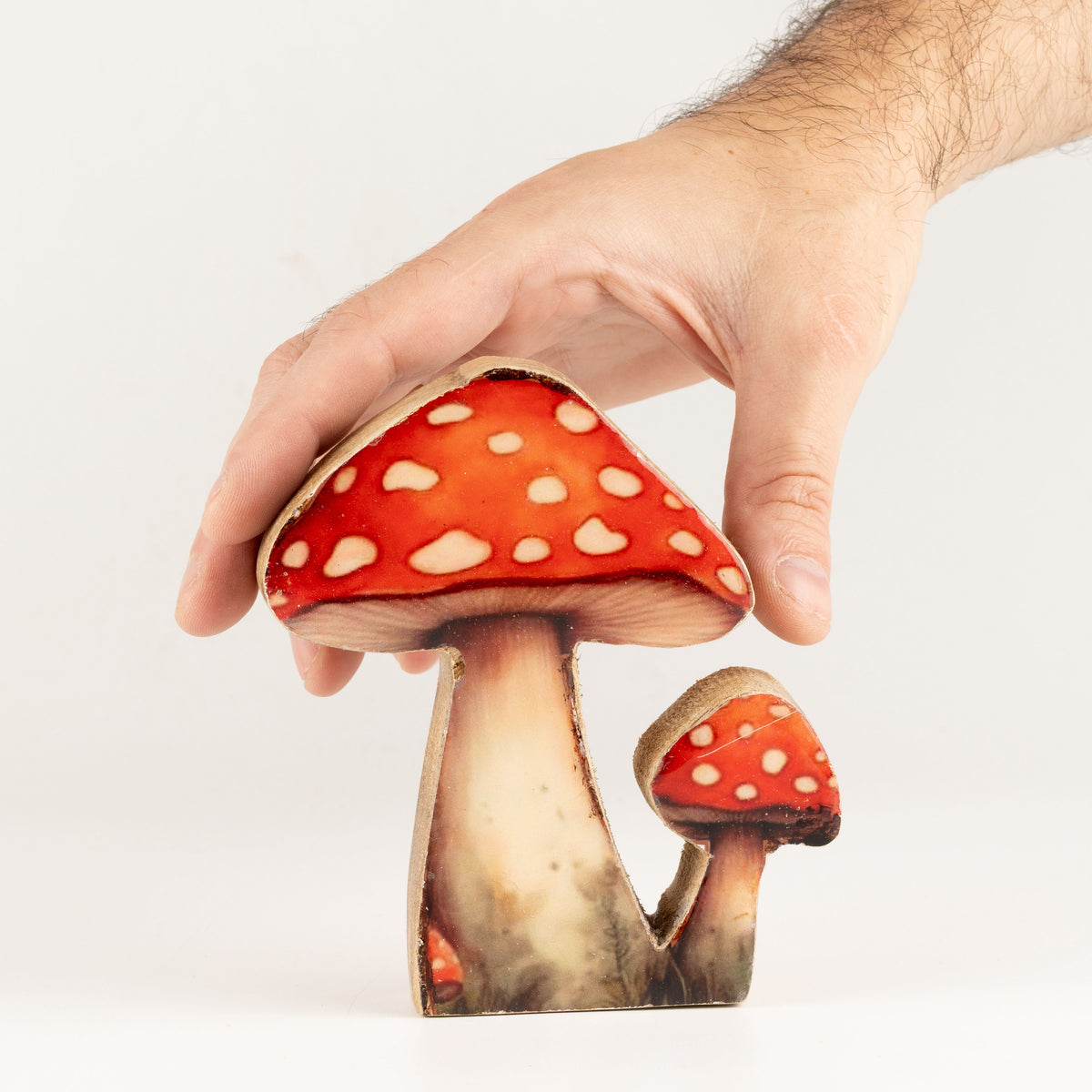 Plantas decorativas de madera - Mini seta Redcap