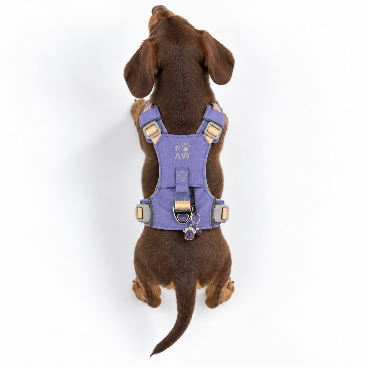 PAW - XS (2-4 kg) Arnés de paso para perros Guardian con malla reflectante - Lavanda - Colgante de amatista