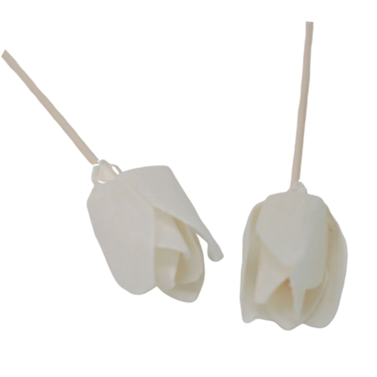 Diffuseur de fleurs naturelles - Tulipe en canne