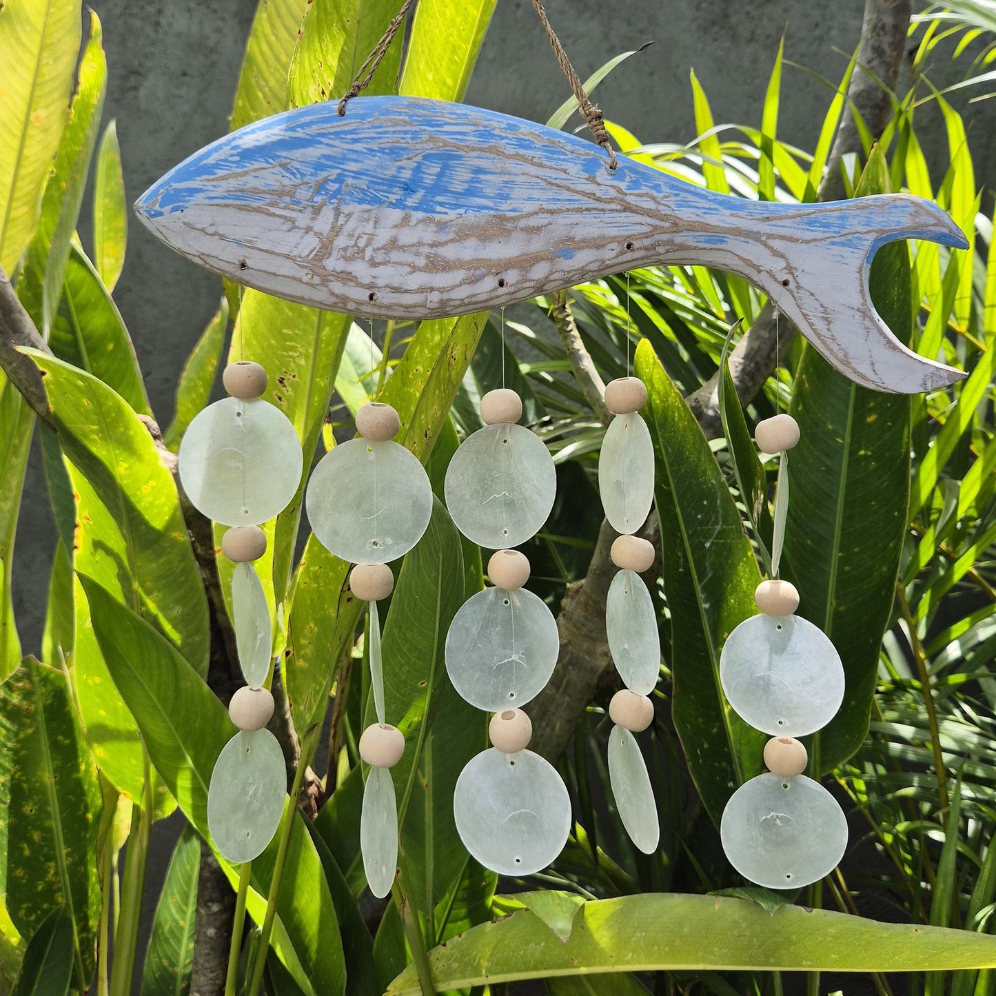 Talla de Pez en Azul Lavado y Gota Natural