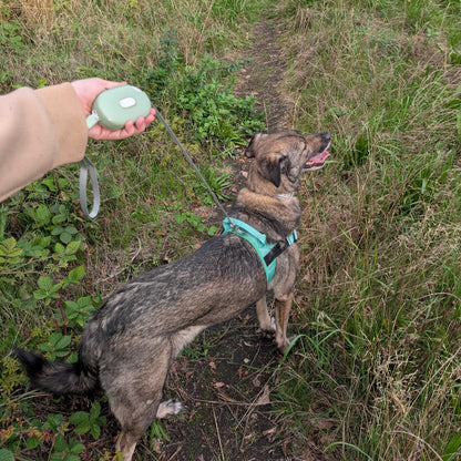 Correa para mascota Paw - Pocket Pod - Verde - 1.5 m