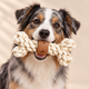 Juguetes PAW para mascotas – Mordedor de madera de café Power Knot Bone