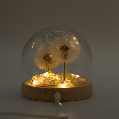 Gartenkuppel Floral Glow - 2 Löwenzähne - USB-LED