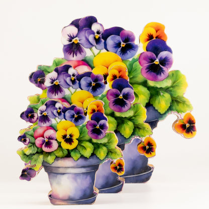 Plantas decorativas de madera - Pensamiento mediano
