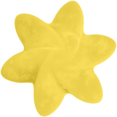 1 cire de soja naturelle - Mangue