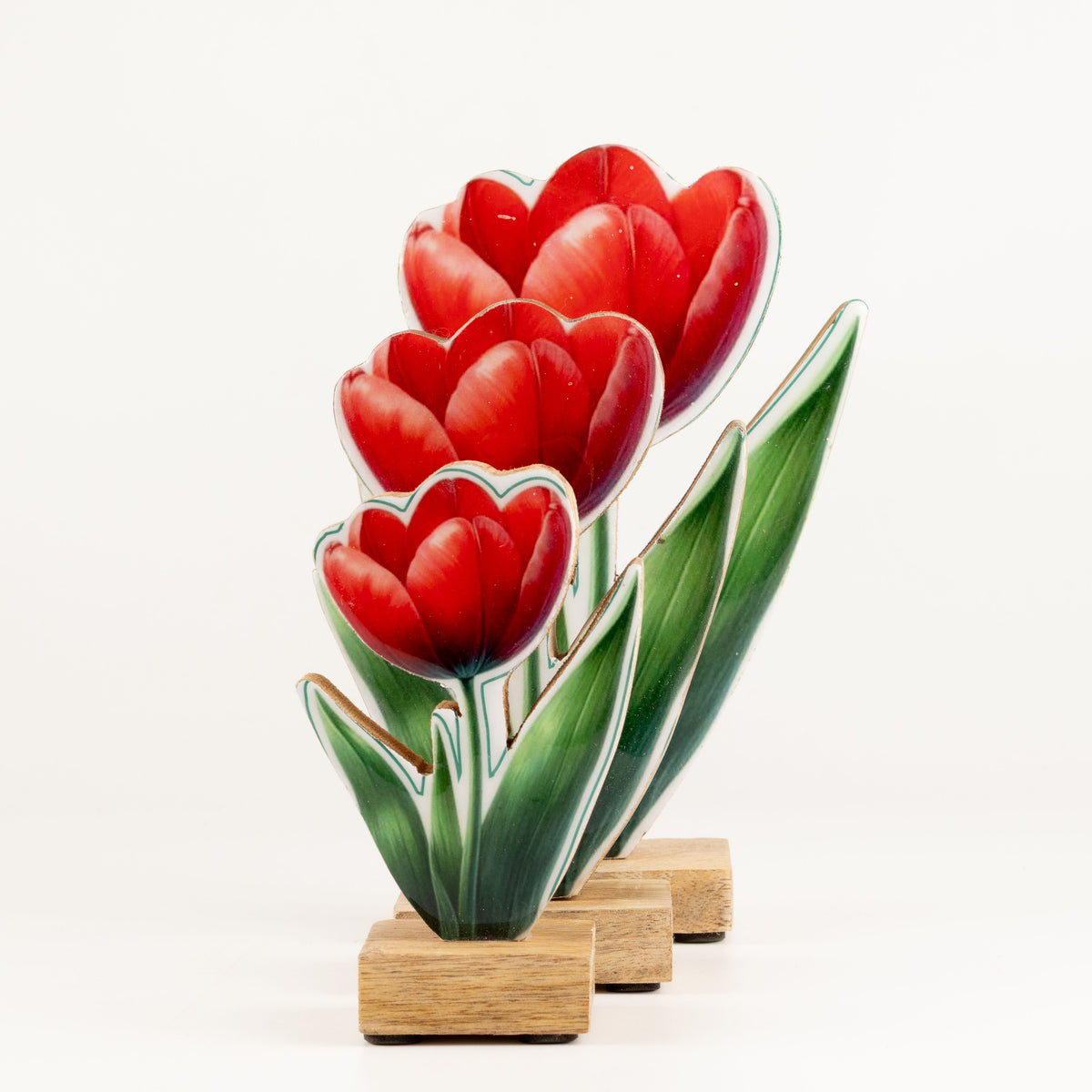 Plantas decorativas de madera - Tulipán mediano