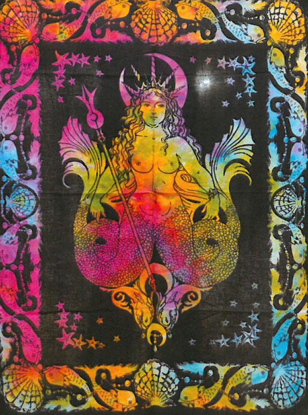 Arte Pared Sirena