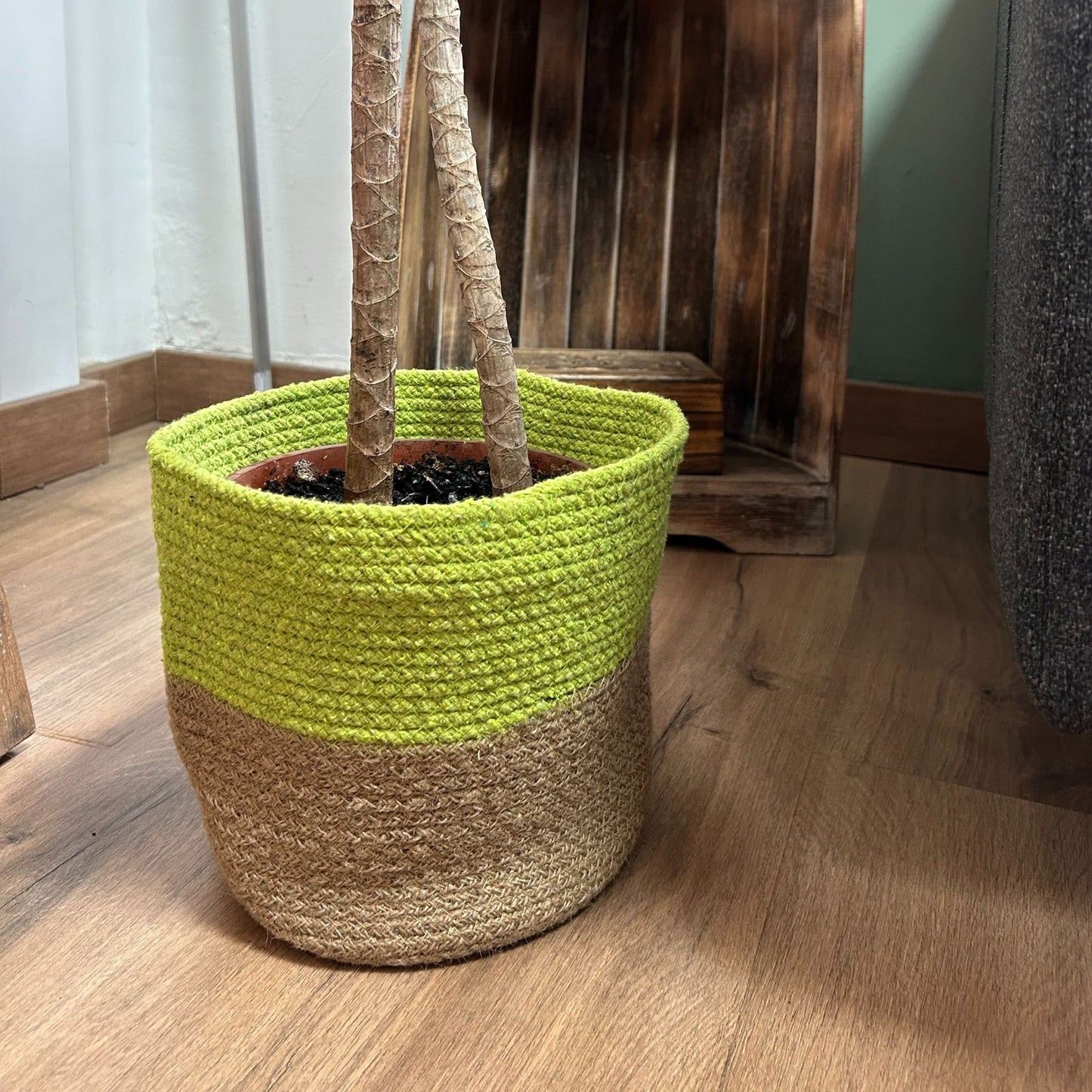 Conjunto de 3 cestas de almacenamiento de cuerda de algodón - Pistacho