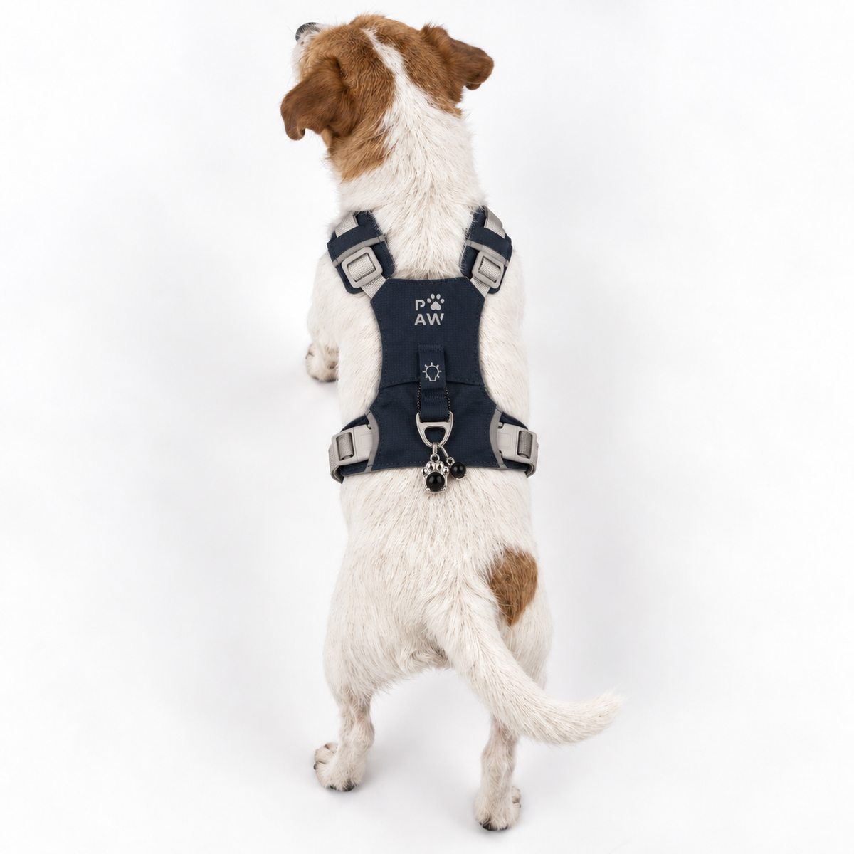 PAW - S (4-8 kg) Arnés de paso para perros Guardian con malla reflectante - Gris roca - Colgante de obsidiana negra