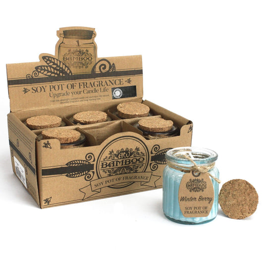 1x Soy Wax Jar Candle - Winter Berry