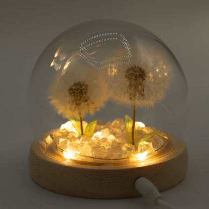 Gartenkuppel Floral Glow - 2 Löwenzähne - USB-LED