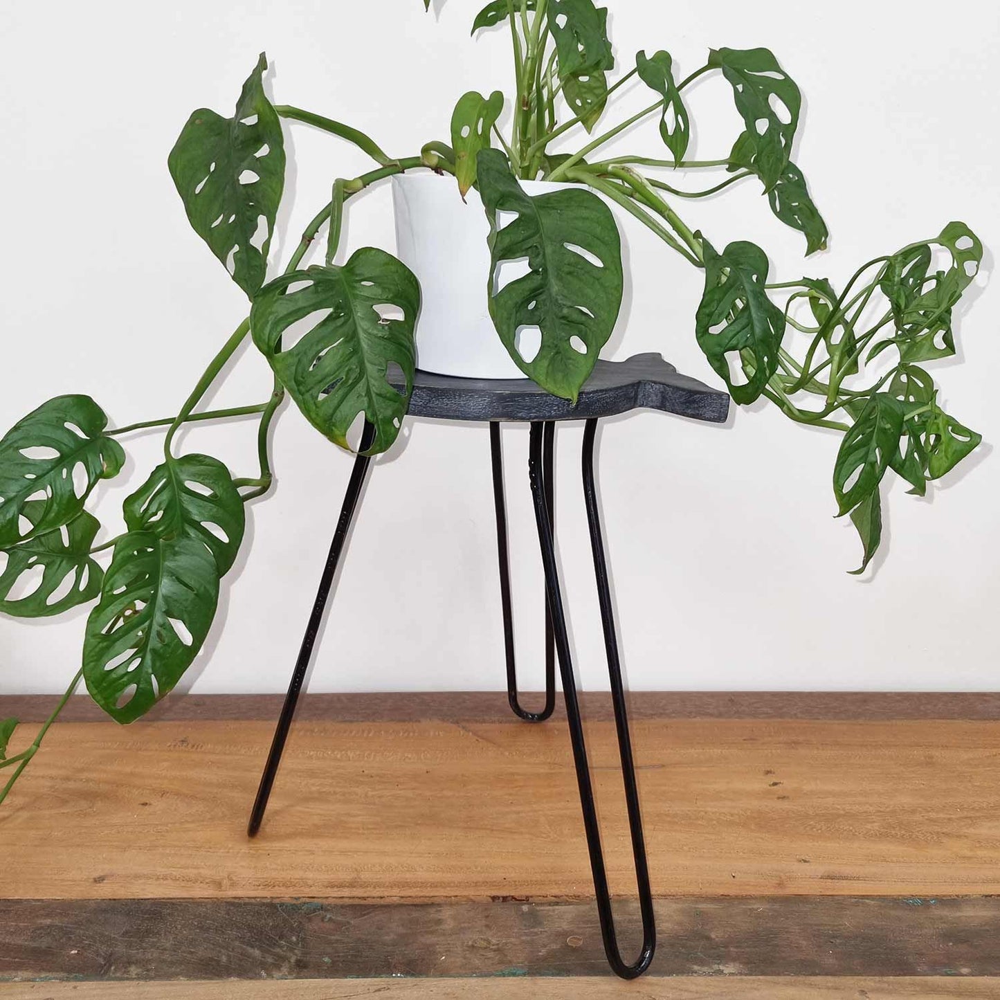 Albasia Holztisch - Grau