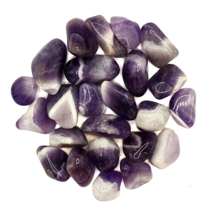 24 x Gebänderter Amethyst L (Klasse B)
