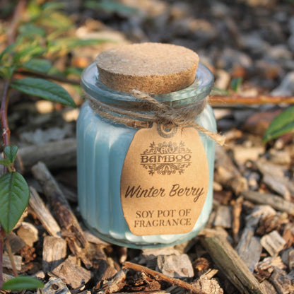 1x Soy Wax Jar Candle - Winter Berry