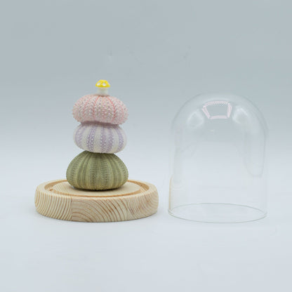 Domo de Jardín Floral Glow - 3 erizos de mar - LED USB