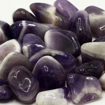 24 x Gebänderter Amethyst L (Klasse B)